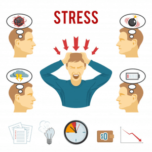Những người thường xuyên bị căng thẳng, bị stress nên dùng nhân sâm để hỗ trợ.