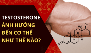 Testosterone là gì Vai trò của testosterone với cơ thể