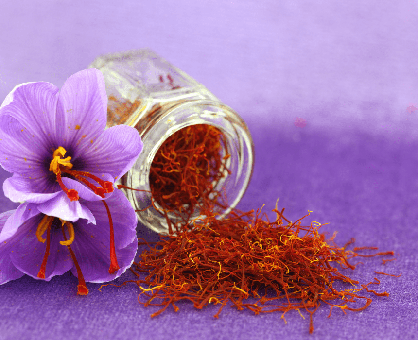 saffron thường được khuyên dùng như một loại thuốc kích dục
