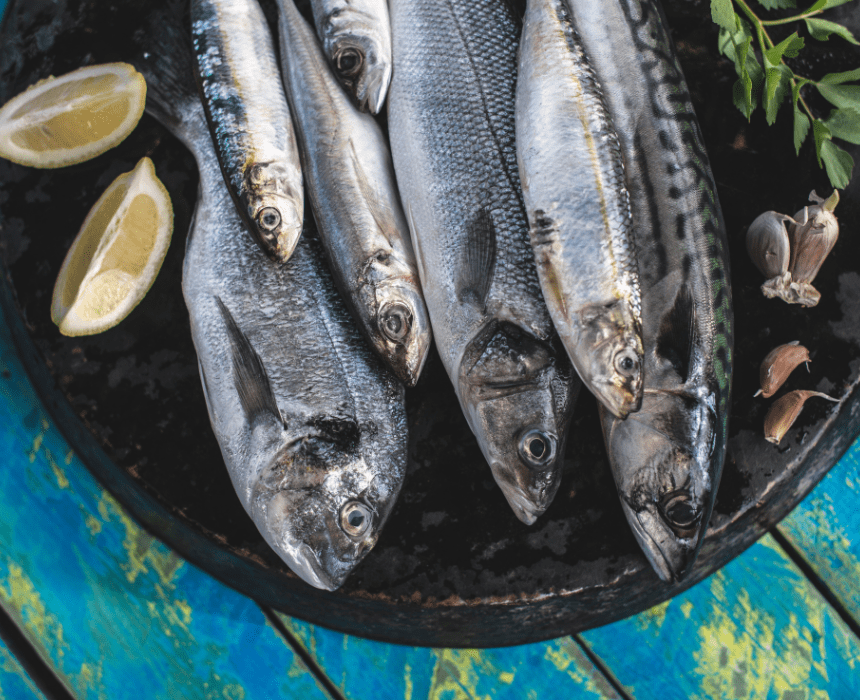 Các loại cá béo như cá hồi, cá trích, cá ngừ và cá thu là nguồn cung cấp axit béo omega - 3