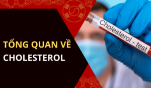 Cholesterol là gì Có mấy loại và chức năng của chúng