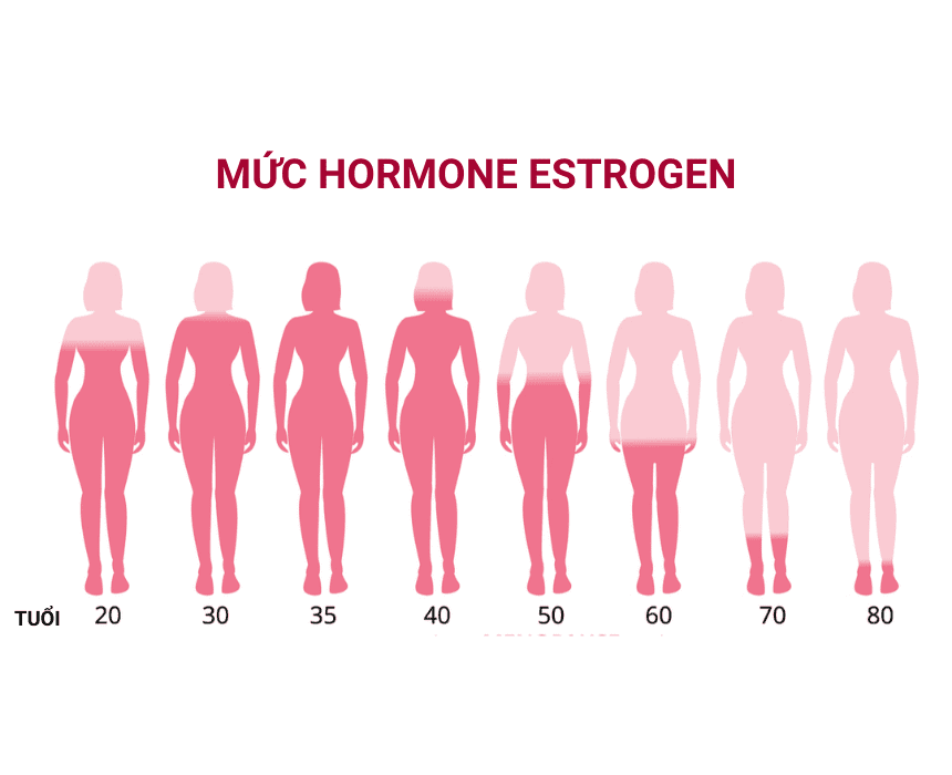 Mức hormone sinh dục nữ sẽ dao động liên tục trong suốt giai đoạn của cuộc đời