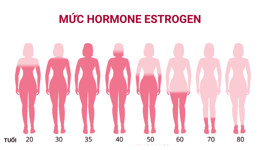 Khi bước vào thời kỳ tiền mãn kinh, mức estrogen của bạn sẽ giảm dần theo thời gian