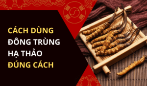 Cách dùng đông trùng hạ thảo đúng cách bạn nên biết