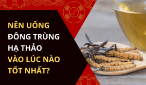 Nên uống đông trùng hạ thảo vào lúc nào tốt nhất cho cơ thể