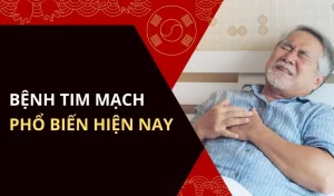 các bệnh tim mạch thường gặp và cách phòng ngừa