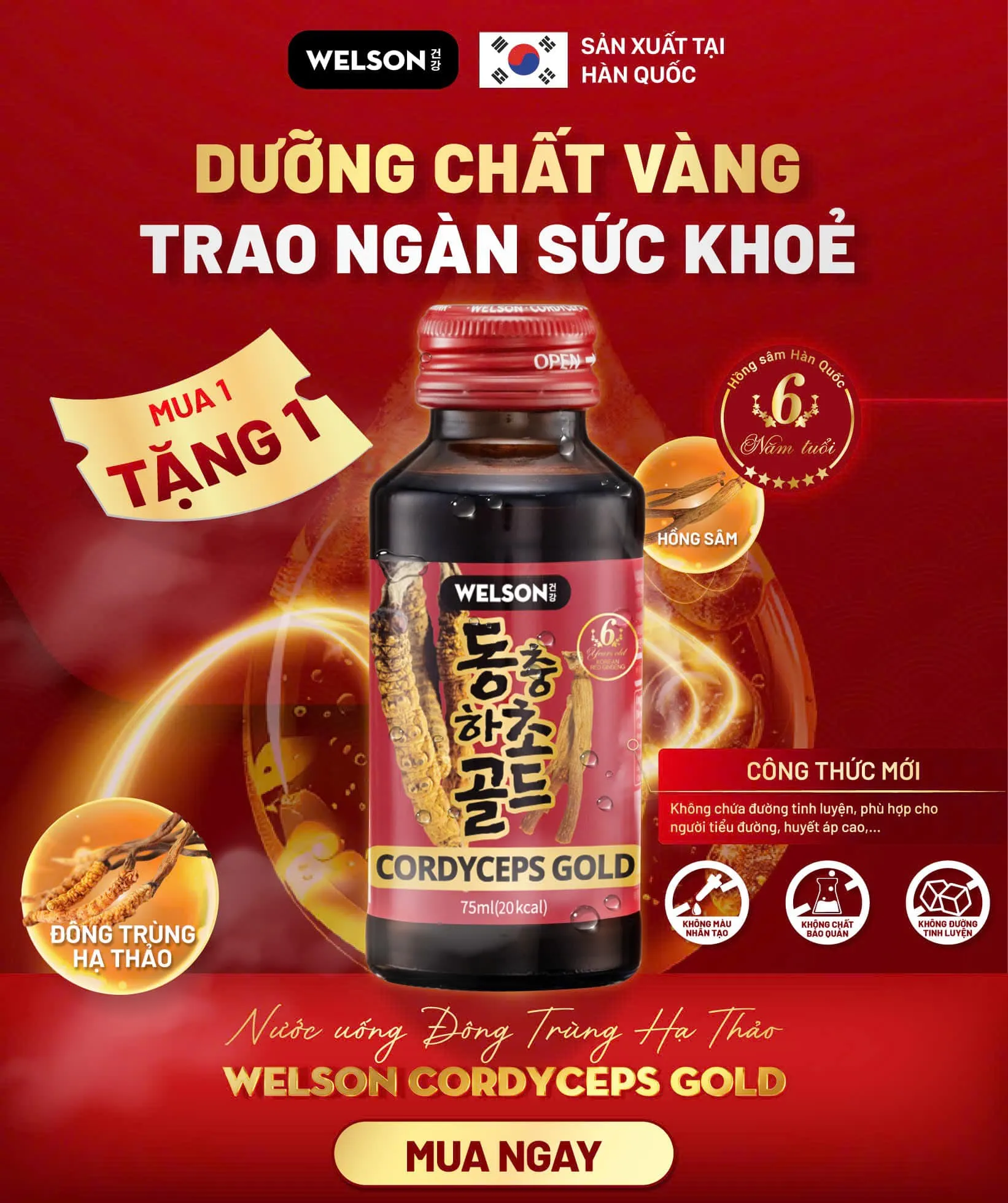 Món quà sức khỏe Welson Cordycep Gold