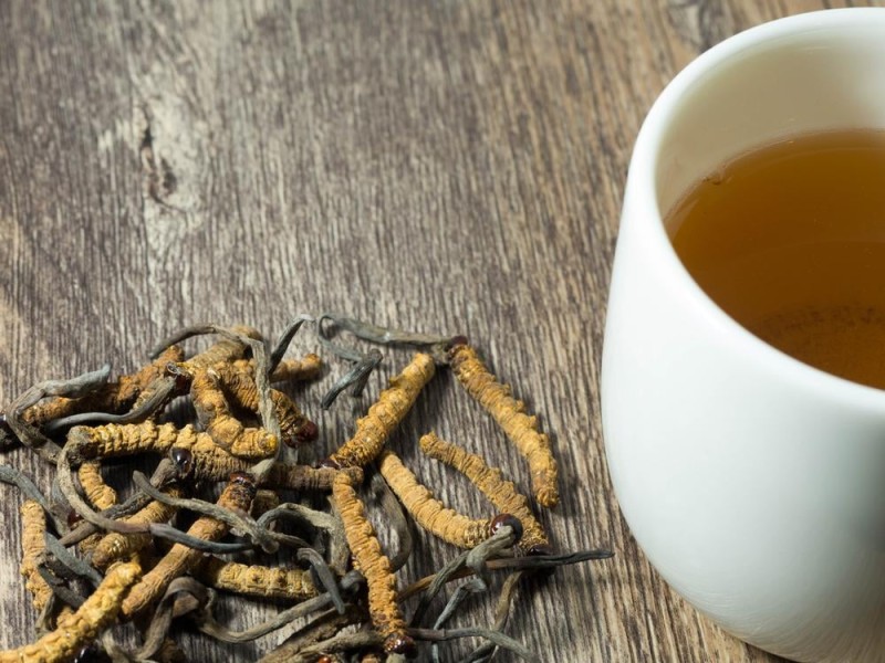 Lưu Ý Khi Sử Dụng Đông Trùng Hạ Thảo