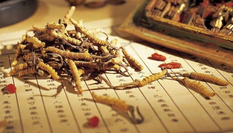 10 Tác Dụng Của Đông Trùng Hạ Thảo Đối Với Sức Khỏe