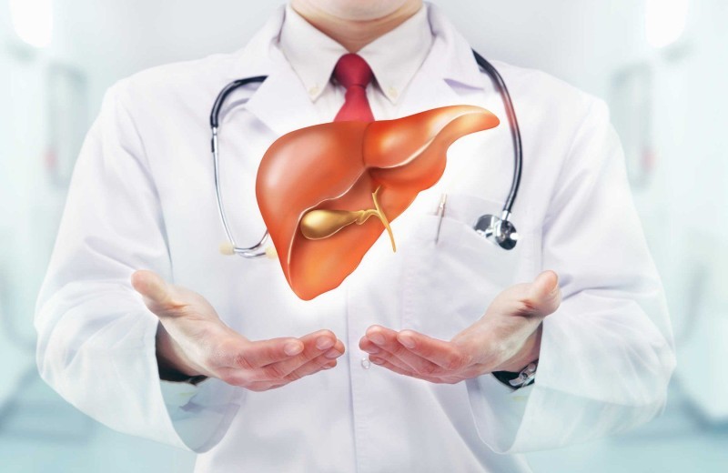 Đông Trùng Hạ Thảo Tăng Cường Chức Năng Gan Thận
