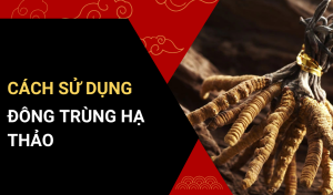 Cách sử dụng đông trùng hạ thảo