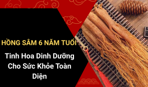 BẢN TIN SINH LÝ (4)