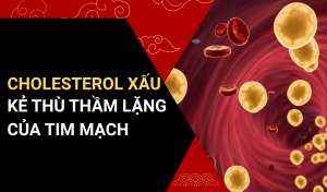 Cholesterol Xấu