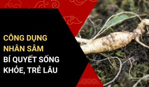 Công dụng nhân sâm
