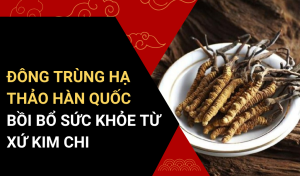 Đông Trùng Hạ Thảo Hàn Quốc