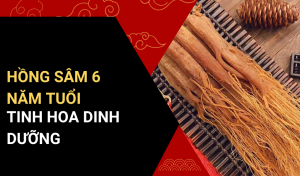 Hồng sâm 6 năm tuổi