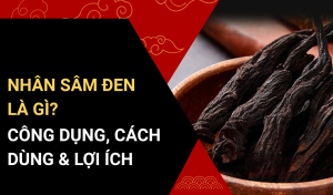 Nhân Sâm Đen Là Gì