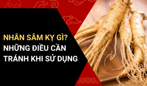 Nhân sâm kỵ gì