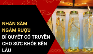 Nhân sâm ngâm rượu