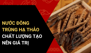 Nước Đông Trùng Hạ Thảo