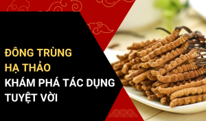 Tác dụng của đông trùng hạ thảo