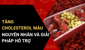 Tăng cholesterol máu