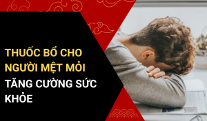 Thuốc Bổ Cho Người Mệt Mỏi