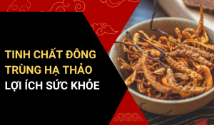 Tinh chất đông trùng hạ thảo