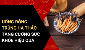 UỐNG ĐÔNG TRÙNG HẠ THẢO