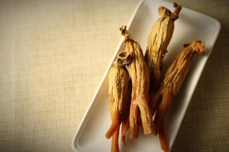 Hồng sâm – Năng lượng sống từ thiên nhiên