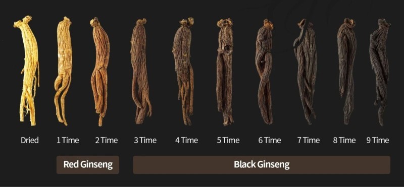 Nhân Sâm Đen Là Gì?