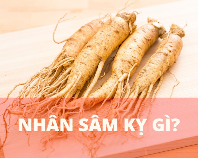 Nhân sâm kỵ gì trong chế độ ăn uống hằng ngày?