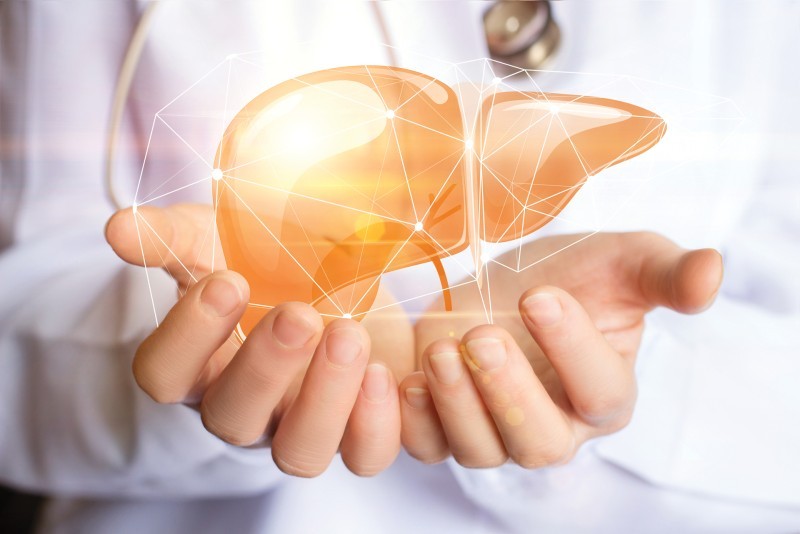 Hồng Sâm Giúp Bảo Vệ Gan và Cải Thiện Chức Năng Gan