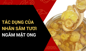 tác dụng của nhân sâm tươi ngâm mật ong
