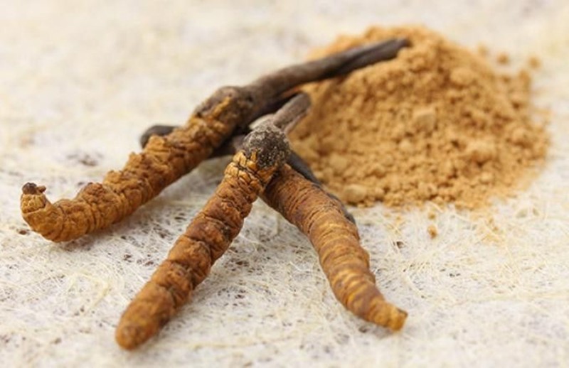 Lợi Ích Nổi Bật Của Tinh Chất Đông Trùng Hạ Thảo