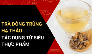 trà đông trùng hạ thảo có tác dụng gì