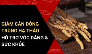 giảm cân đông trùng hạ thảo