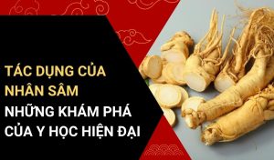 tác dụng của nhân sâm