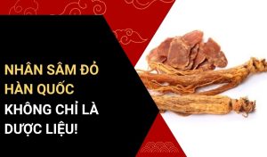 Nhân Sâm Đỏ Hàn Quốc