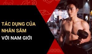 tác dụng của nhân sâm với nam giới