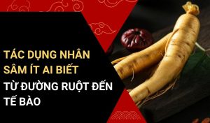tác dụng nhân sâm