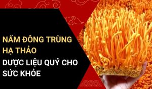 công dụng của nấm đông trùng hạ thảo