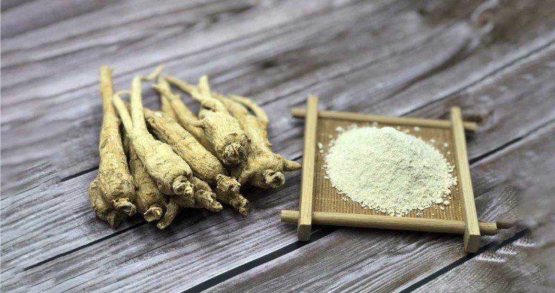 Bột nhân sâm trong ứng dụng đời sống: Không chỉ là một vị thuốc