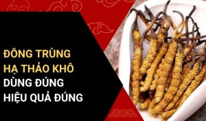 cách dùng đông trùng hạ thảo khô