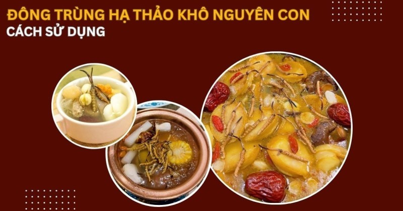 Cách dùng đông trùng hạ thảo khô trong thực phẩm