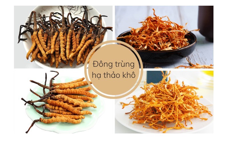 Thế nào là đông trùng hạ thảo dạng khô?