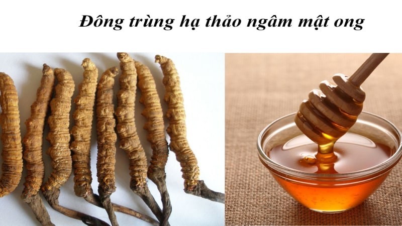 Đông trùng hạ thảo khô ngâm mật ong