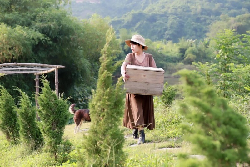 Tận Hưởng Thiên Nhiên Và Âm Nhạc