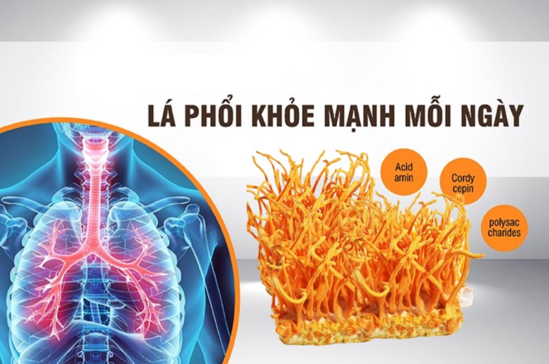 Cải thiện chức năng phổi, gan và thận