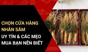cửa hàng nhân sâm hàn quốc